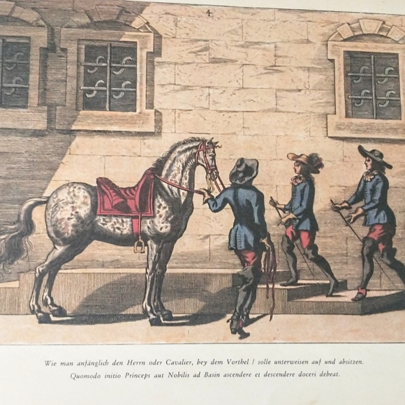 Antique Print - Horse Riding/Training - Equestrian Art - Picture 8 of 12